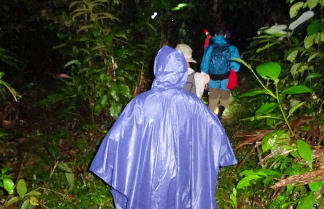 Noite na selva amazônica - Foto 3