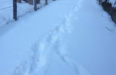 Lorica Suite - Foto 16