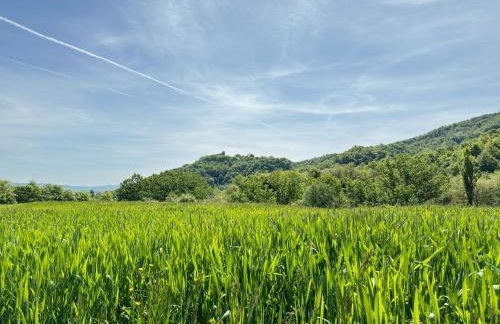 Casa Montecastelli Sopra/Terra - Foto 7
