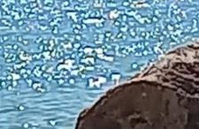 Casacamer S - Foto 26