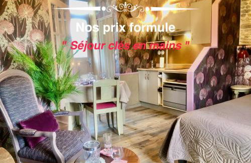 Les Fleurs De Lys, Suites'Appart , Entrée et Terrasse Privée Proche de la Mer - Foto 1