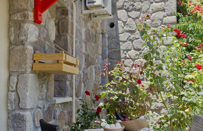 Palmiye Tepesi - Foto 70