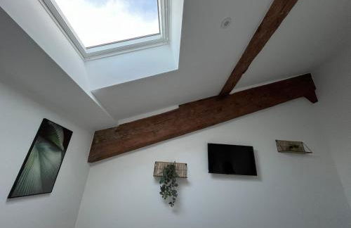 Louis XIII, Le Somail. - Foto 59