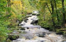 Ferienwohnung Bayerwaldblick - Foto 46