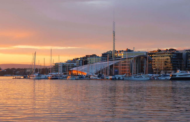 Paseo en barco eléctrico por el fiordo de Oslo - Foto 4
