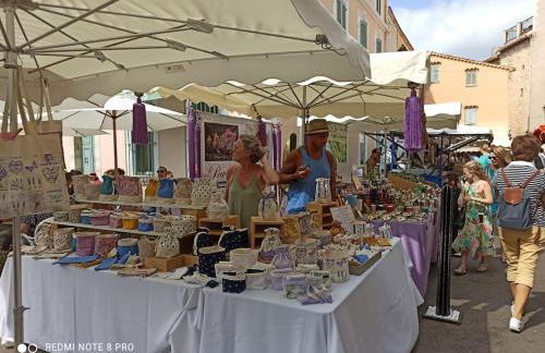 La Rose des Claux - Foto 45