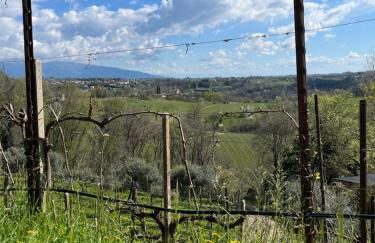 Casa vacanze Pierangela - Foto 26