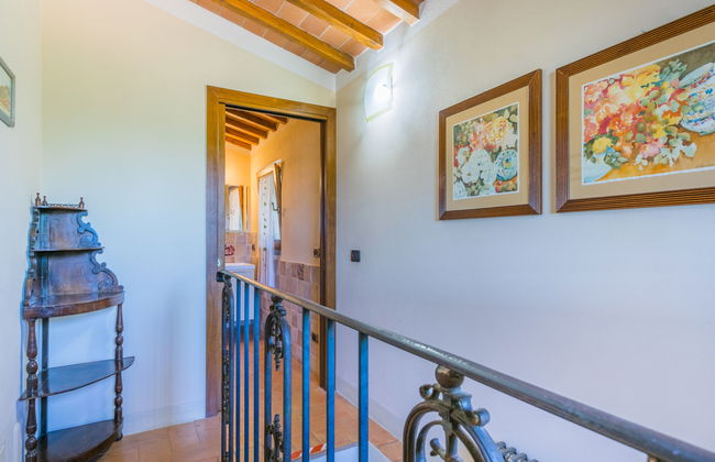 Poggio de'Galli - Foto 33