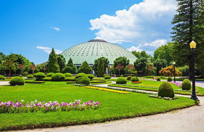 Porto Full Day Private Tour from Lisbon - Photo 11