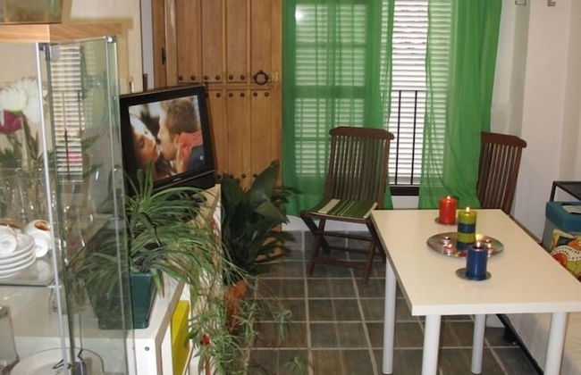 Golondrinas de la Alhambra - Foto 53