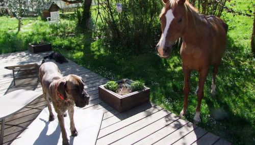 Wonderworld - Foto 5, Garden