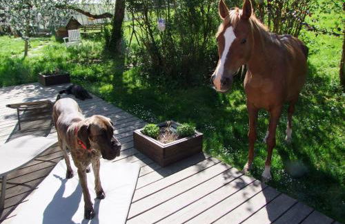 Wonderworld - Foto 5