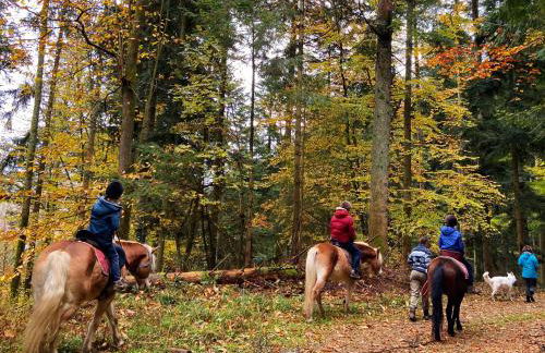 Le Gîte des Chevaliers - Foto 16