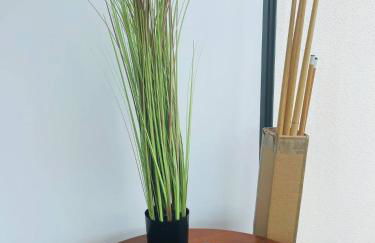 Borne arcade, Billard, Fléchettes & Sauna 6pers - Foto 24