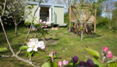 Hillcrest Hut - Photo 4