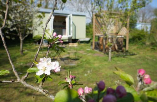 Hillcrest Hut - Photo 4