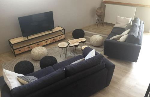 Gîte 8 à 14 personnes en Champagne avec jacuzzi - Foto 7