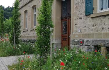 Alte Schule Buchenbach - Foto 28