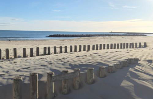 Sable & Pampas - Meublé de Tourisme 5 étoiles - Vue Panoramique & Terrasse - Climatisation - Plage à 200m - Foto 21