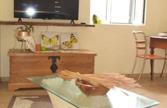 Sonho Paixão - Foto 13