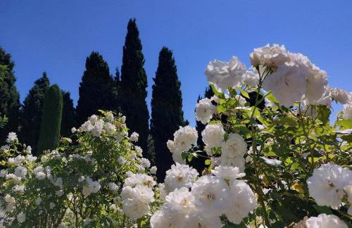 En Provence, Chez Stéphanie et Marcel - Foto 42
