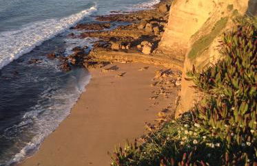 Villa Famele Wave - Foto 33