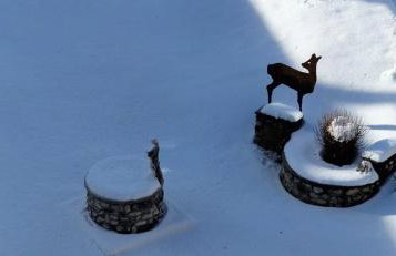 Padola, la tua casa in montagna - Foto 32