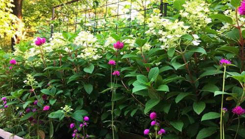 private luxe, garden, wellness home steps from Princeton - Foto 3