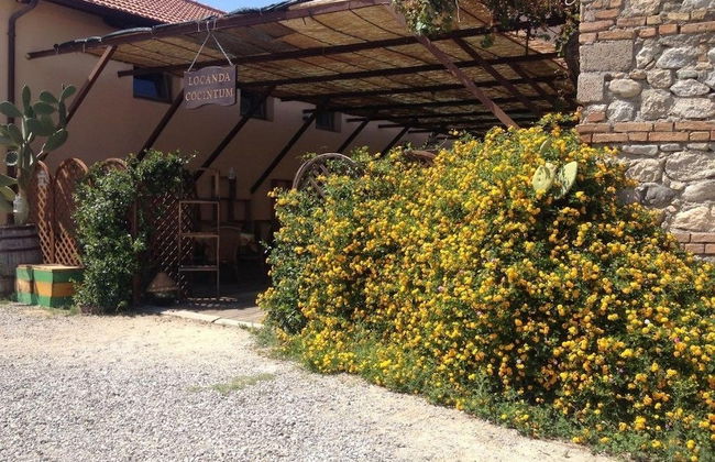 Agriturismo biologico 'A Lanterna - Foto 48