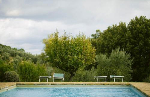 Fattoria San Donato - Foto 75