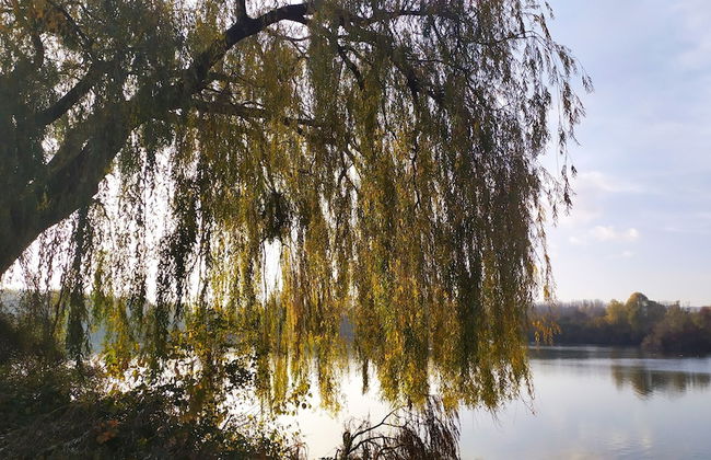 Résidence Carouge - Foto 26