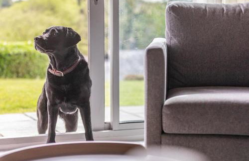 3 Bed in Saltash oc-87716 - Foto 18