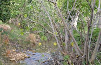 caballero y cozar - Foto 24