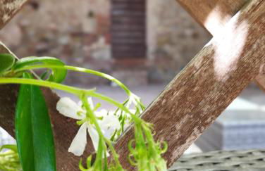 Castellare - Foto 56