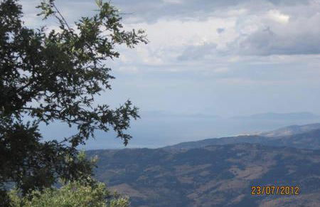 Ambra di mare - Foto 35