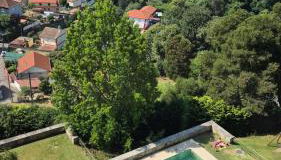 Apartamento Castrelos - Foto 3