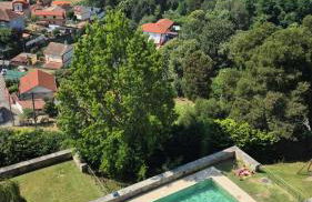 Casa Castrelos ideal Familias y Grupos - Foto 1