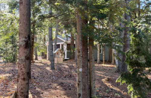 Luxury Forest Lake House - Privacy, Nature, Conveniences - New 2 bedroom - Foto 3