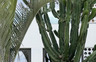 Fos Villa your place under the Cretan Sun with private heated pool - Foto 87