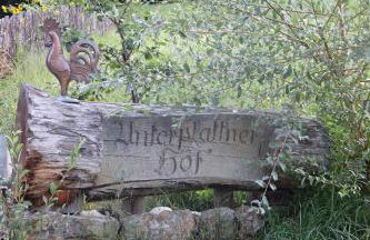 Unterplattnerhof - Photo 33