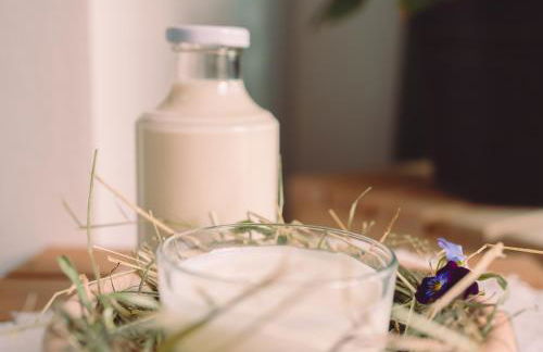 Stacherhof - Photo 35