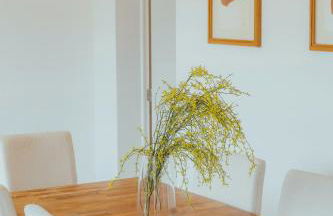 Alojamentos Plansel - No Coração das Vinhas do Alentejo - Foto 39