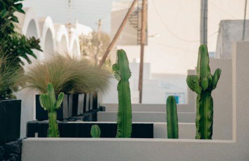 Alaso Design Suites - Foto 66