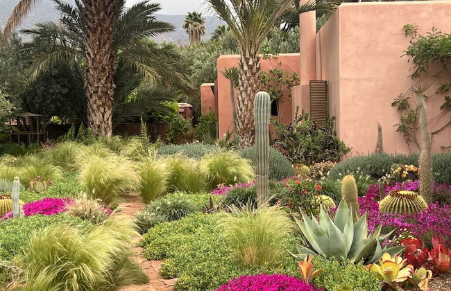 Dar Talmout - Photo 19