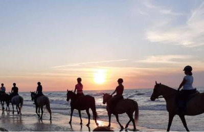 Jarzębinowy Zakątek - Foto 48