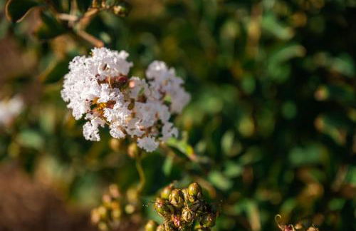 Agriturismo Maria Vittoria - Foto 148