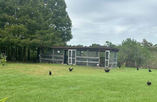 Rancho el kairos - Photo 33