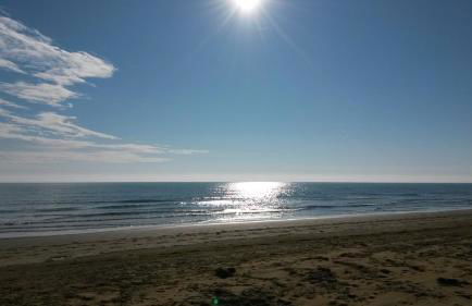 Ville Verdi - Foto 20