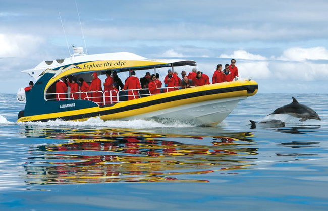 Excursion d'une journée à l'île Tasman avec billets en option - Au départ de Hobart - Photo 2