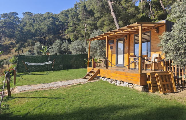 TİNY MİNİ HOUSE - Foto 20